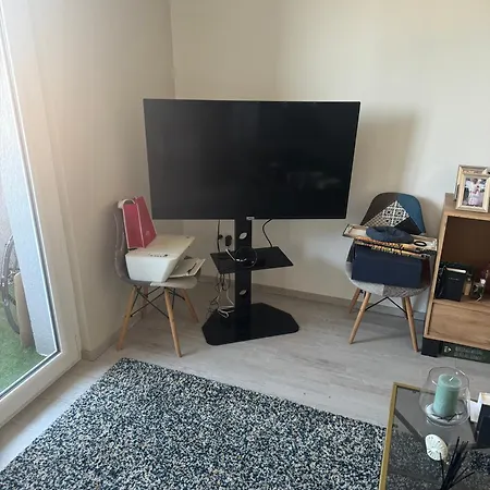 Beautiful Near 24h Du Mans !!! Apartment